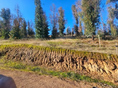 Parcela en entorno consolidado y acceso controlado - Imagen 3 - Región Libertador B. O'Higgins