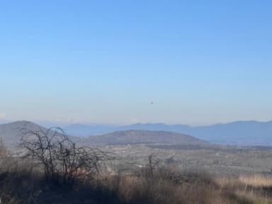 Parcela en entorno consolidado y acceso controlado - Imagen 4 - Región Libertador B. O'Higgins