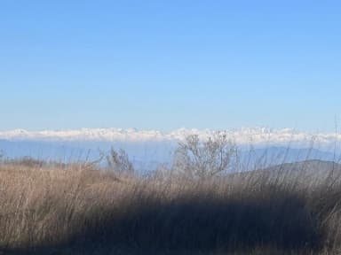 Parcela en entorno consolidado y acceso controlado - Imagen 5 - Región Libertador B. O'Higgins