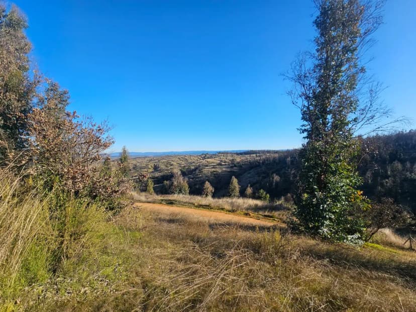 Parcela en entorno consolidado y acceso controlado